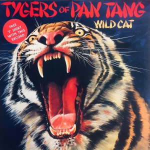 Wild Cat Image