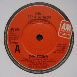 Can I Get A Witness? Image