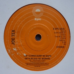 Ain't Gonna Bump No More (With No Big Fat Woman) Image