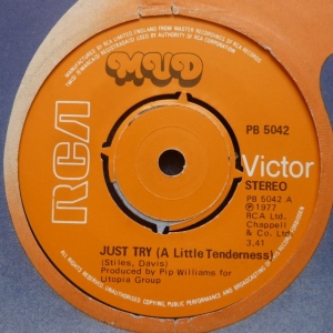 Just Try (a Little Tenderness) Image