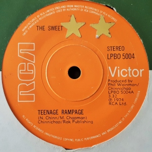 Teenage Rampage Image