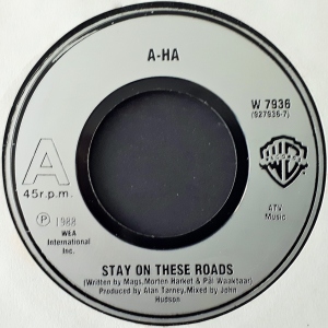 Stay On These Roads Image