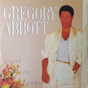 Shake You Down Image