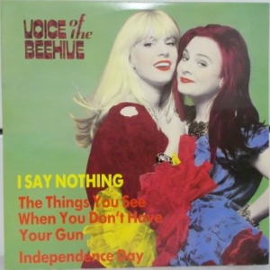 I Say Nothing Image