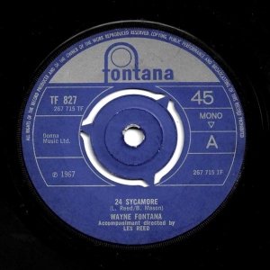 24 Sycamore Image