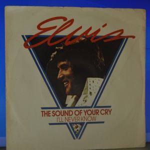 The Sound Of Your Cry Image