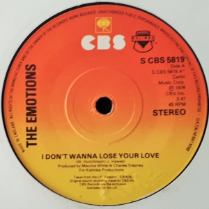 I Don't Wanna Lose Your Love Image