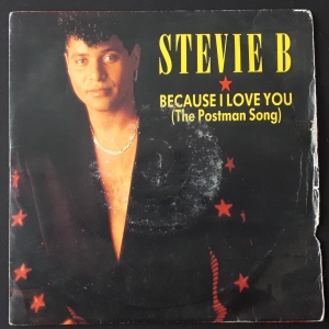 Because I Love You (The Postman Song) Image