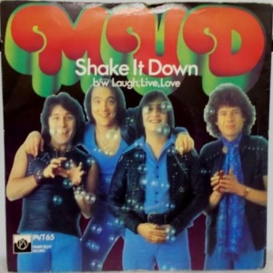 Shake It Down Image