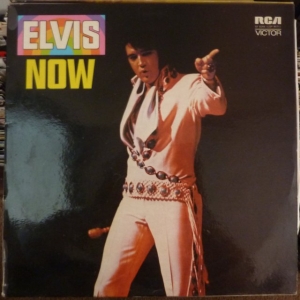 Elvis Now Image