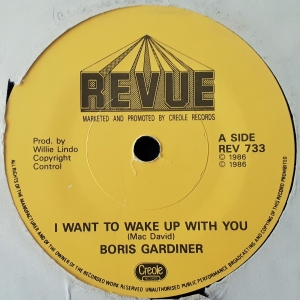 I Wanna Wake Up With You Image