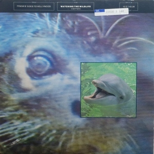 Watching The Wildlife (Hotter) Image