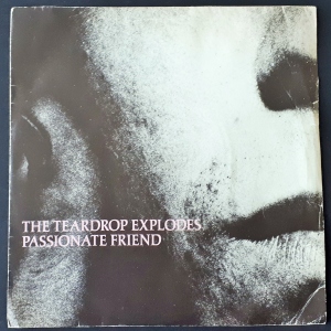 Passionate Friend Image