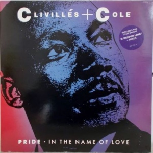 Pride (In The Name Of Love) Image