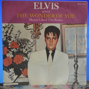 The Wonder Of You Image
