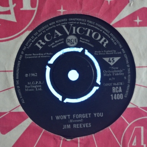 I Won't Forget You Image