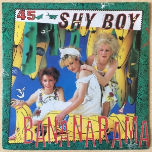 Shy Boy Image