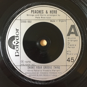 Shake Your Groove Thing Image