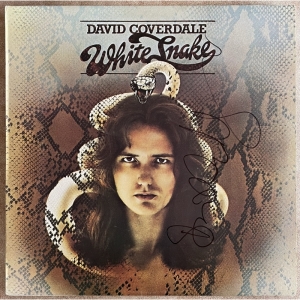 Whitesnake Image