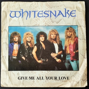 Give Me All Your Love Image