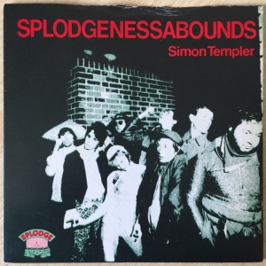 Simon Templer Image