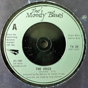 The Voice / 22000 Days Image