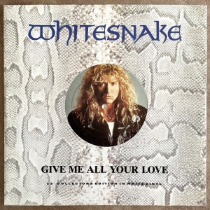 Give Me All Your Love Image