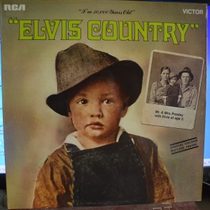 Elvis Country (I'm 10,000 Years Old) Image