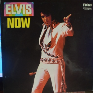 Elvis Now Image