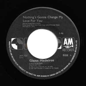 Nothing's Gonna Change My Love For You Image