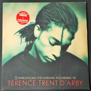 Introducing The Hardline According To Terence Trent D'Arby Image