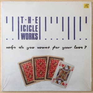 Who Do You Want For Your Love? Image