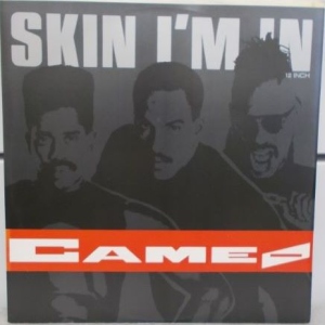 Skin I'm In Image