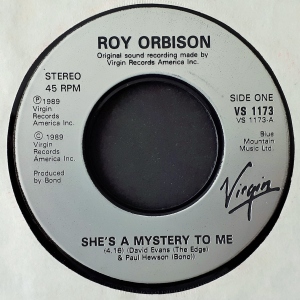 She's A Mystery To Me Image