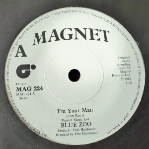 I'm Your Man Image