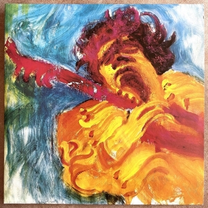The Jimi Hendrix Concerts Image