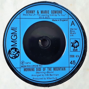 Morning Side Of The Mountain Image