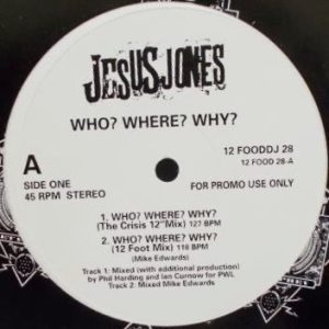 Who? Where? Why? Image
