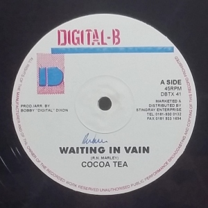 Waiting In Vain Image