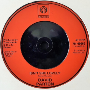 Isn't She Lovely Image