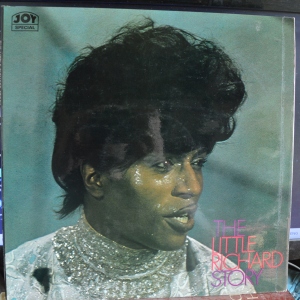 The Little Richard Story Image