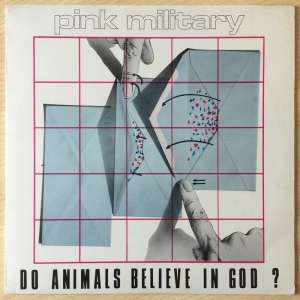 Do Animals Believe In God? Image