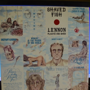 Shaved Fish Image