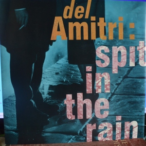 Spit In The Rain Image
