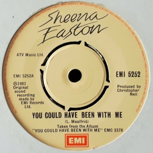 You Could Have Been With Me Image