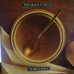 Turtle Soup Image