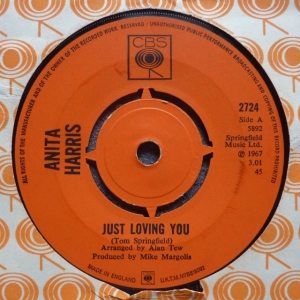 Just Loving You Image