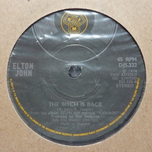 The Bitch Is Back Image