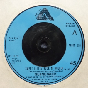 Sweet Little Rock 'N' Roller Image