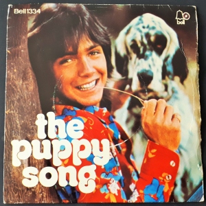 Daydreamer / The Puppy Song Image